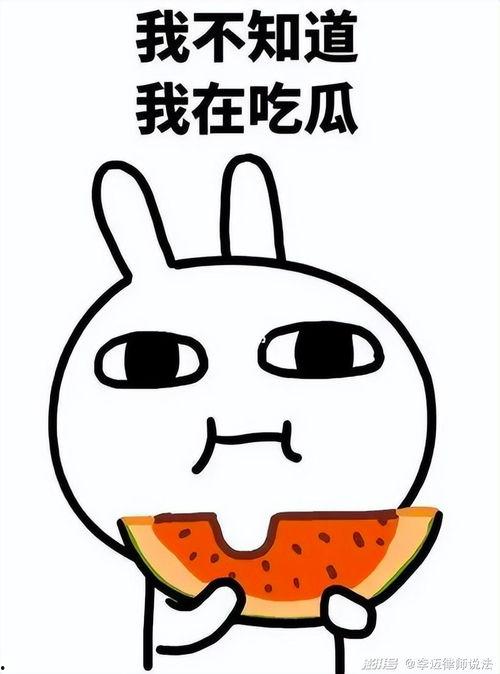 娱乐吃瓜酱名人毒舌,揭秘名人毒舌背后的真相