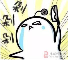 剁手的照片,揭秘购物狂欢背后的故事