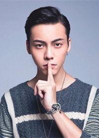 哪些明星是温州,从家乡走出的璀璨星辰